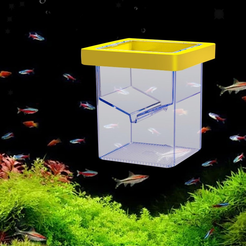 Fish Breeding Isolation Box Fish Isolation Box Floating Square Acrylic