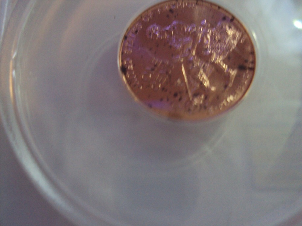 2009 1c anacs ms 66 red formative years double pinky error