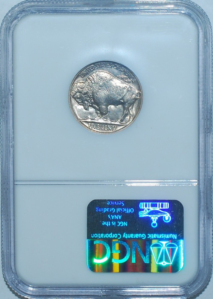 1919 P NGC MS64 Buffalo Nickel