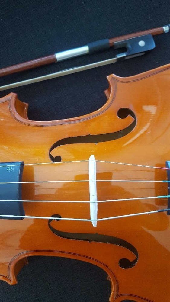 Beautiful 16" Solid Maple Professional Viola