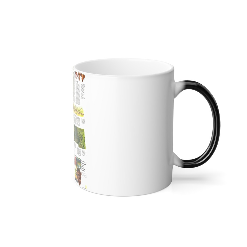USA - Northwest 2 (1973) (Map) Color Changing Mug 11oz
