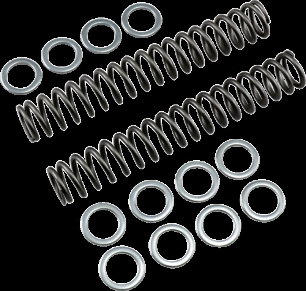 RACE TECH FRSP S3825095 SPRING FORK .95KG