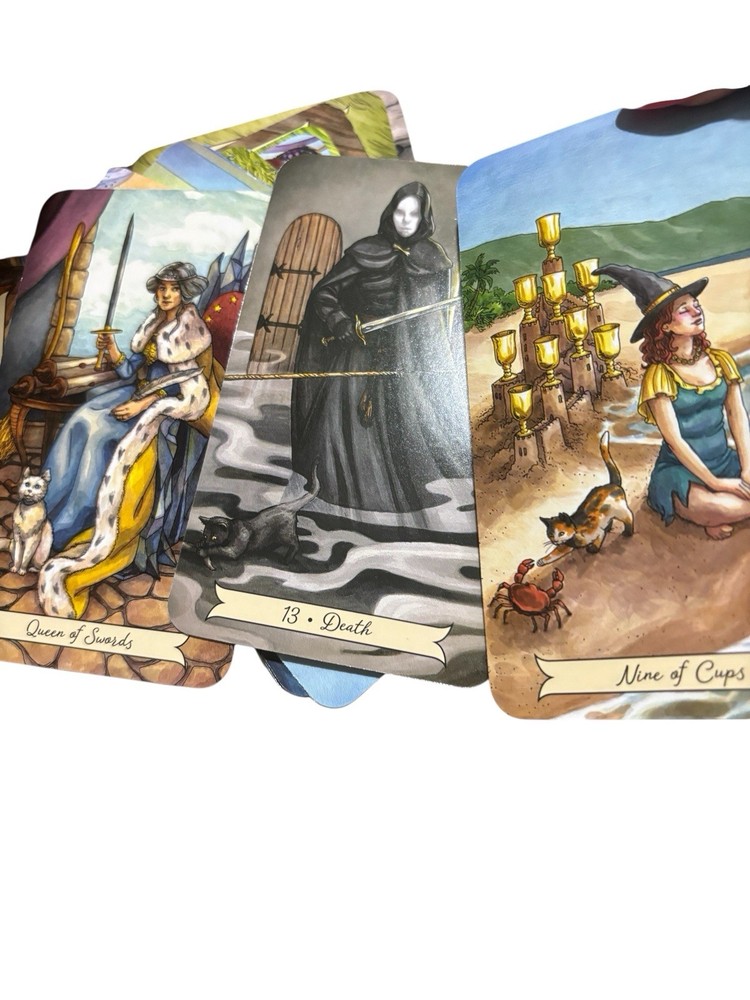 Everyday Witch Tarot Deck & Guidebook Set Deborah Blake 78 Cards & 264 Page Book