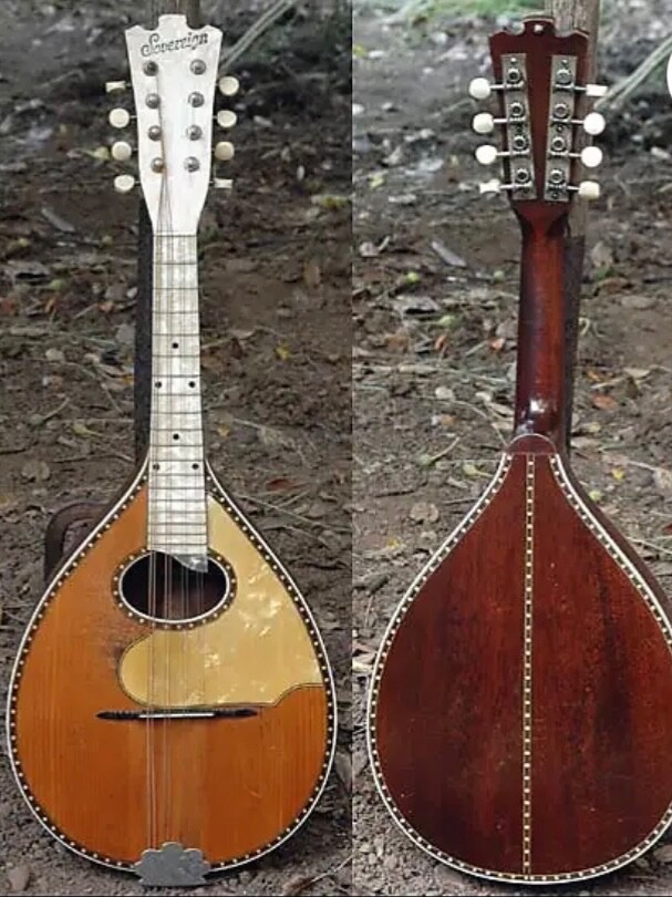 1927 oscar schmidt sovereign mandolin