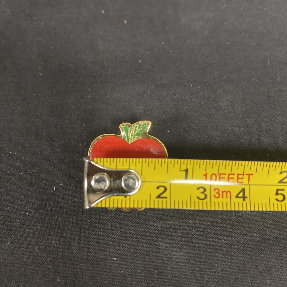 Washington State Souvenir Enamel Apple Lapel Pin