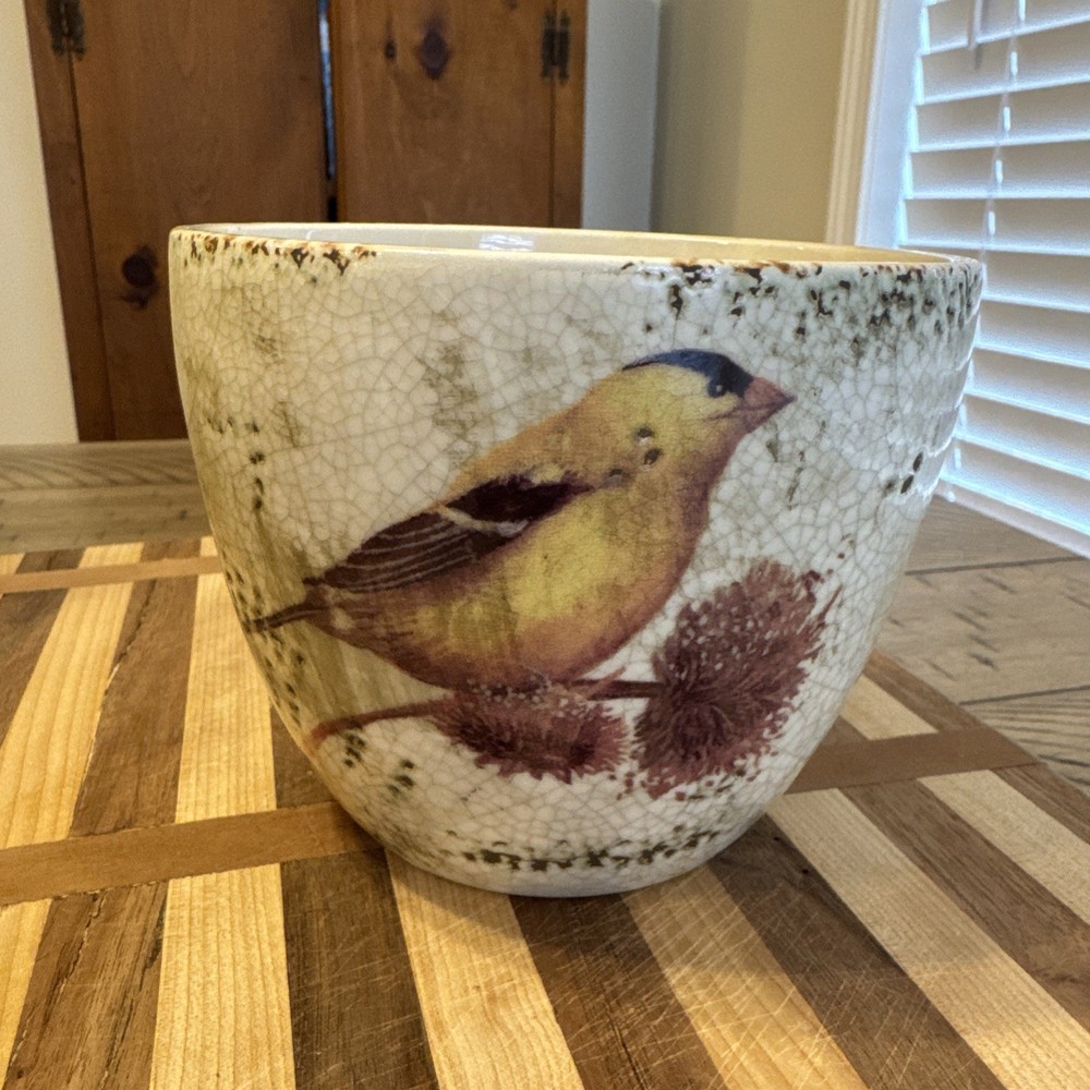 Transpac Large Ceramic Bird Container Planter/Catch all bowl