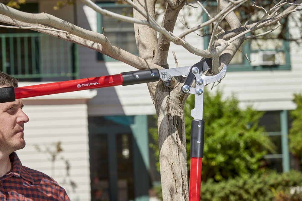 FL 3460 Compound Action Bypass Lopper, 32-Inch