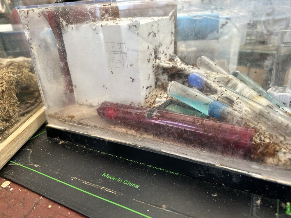 Formicarium