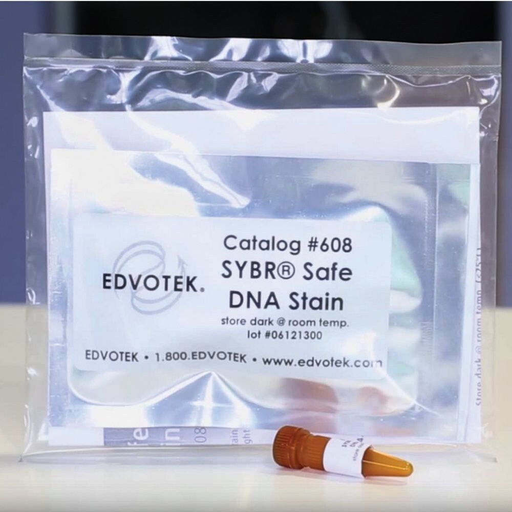 SYBR® Safe DNA Stain