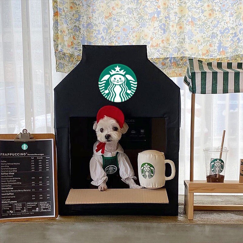 pet clothes Starbucks