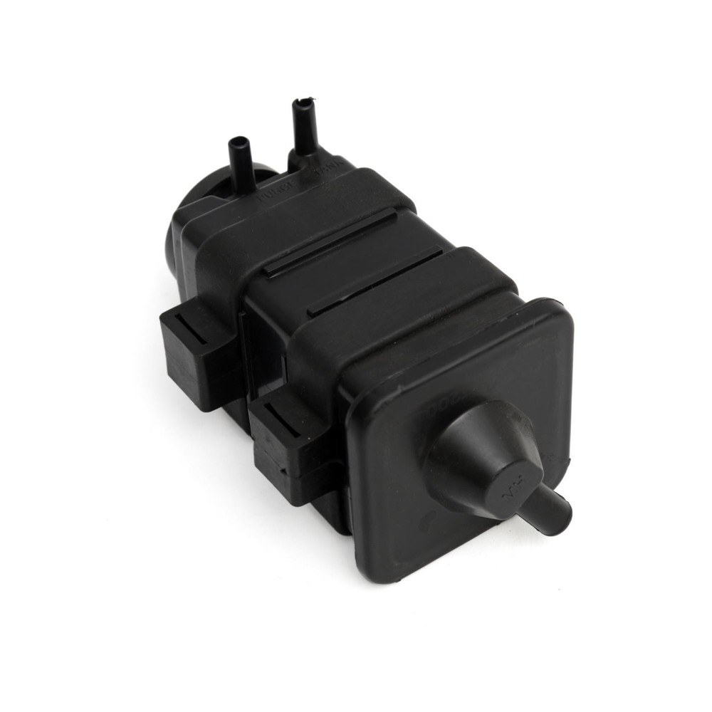 Mutt Mongrel 250 EU4 2017 - 2020 Carbon Canister ref no.13