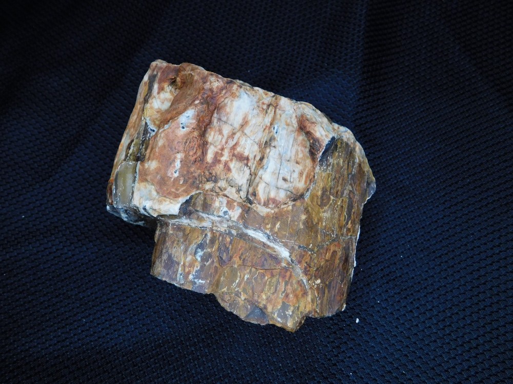 Translucent Agatized and Opalized Limb Cast Central WA Vintage 2 lbs. 14oz