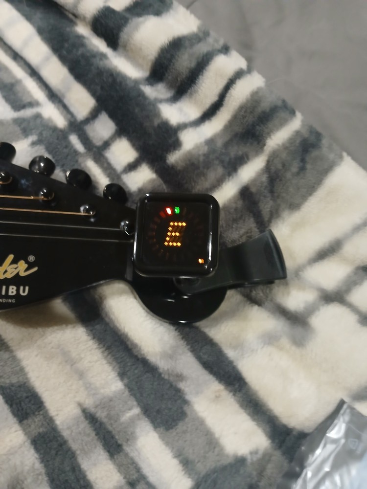 Epiphone ES-1873 Tuner and Strap