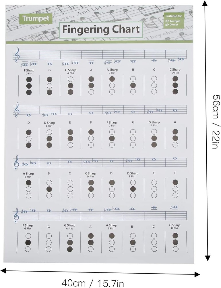 Trumpet Chord Chart Chords Reference Poster (Large Size)