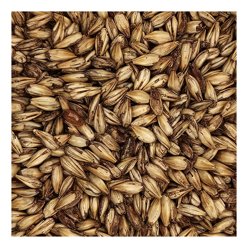 Home Brew Ohio Caramel 10L Grain 1lb