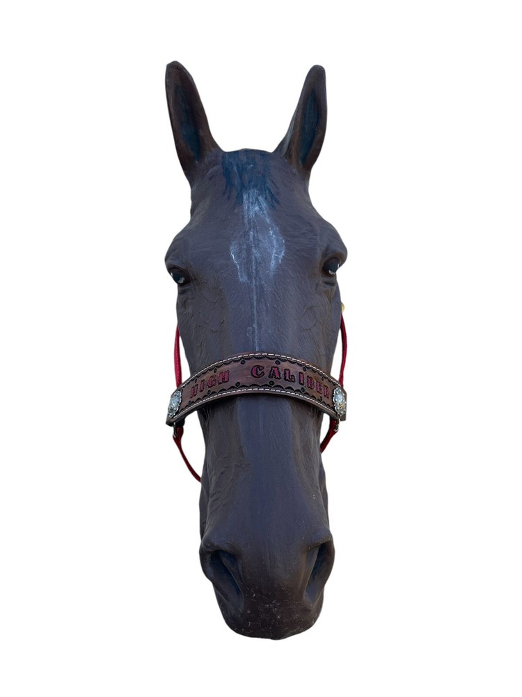 Personalized Nylon Red Horse Halter