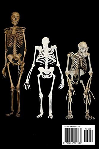 Bones Trivia : Interesting, Funny Facts About Bones Series