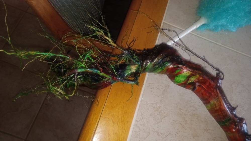 Rainbow Driftwood