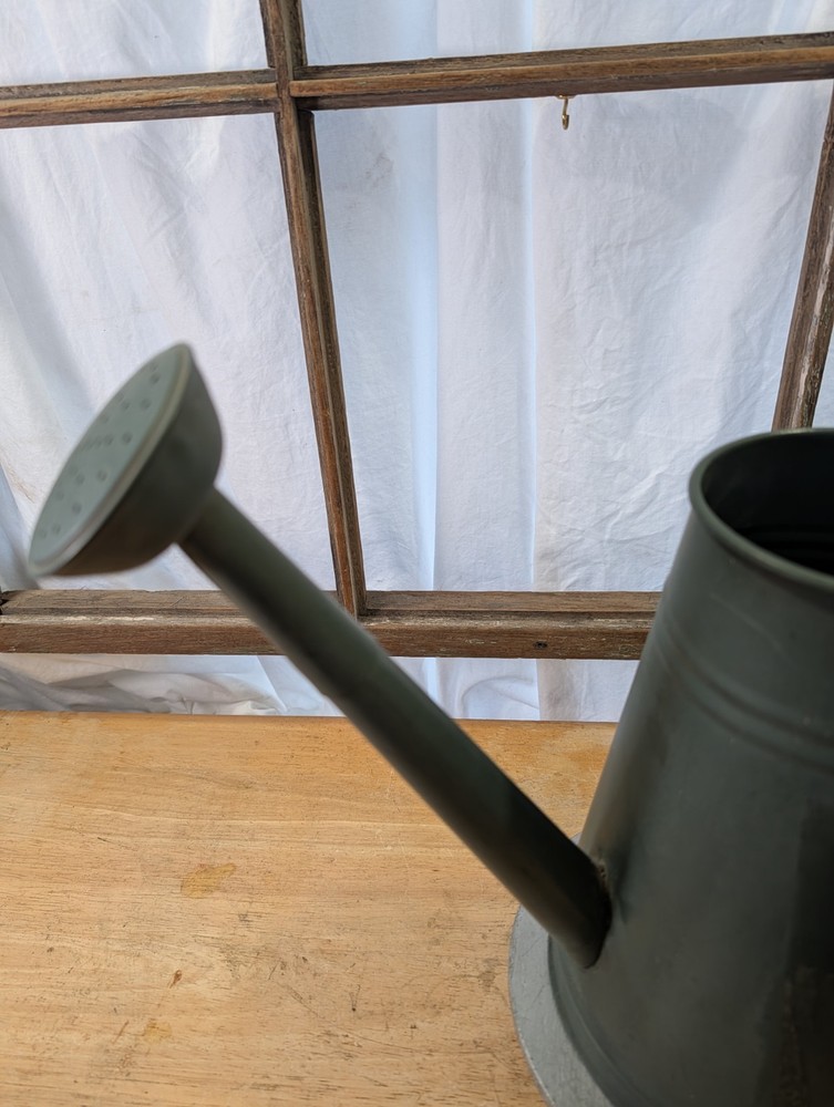 Light Green 12 1/2in Watering Can