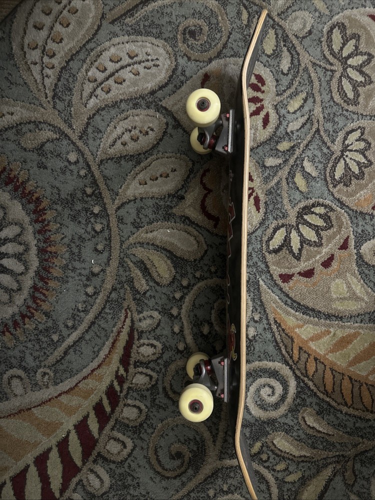 world industries skateboard complete