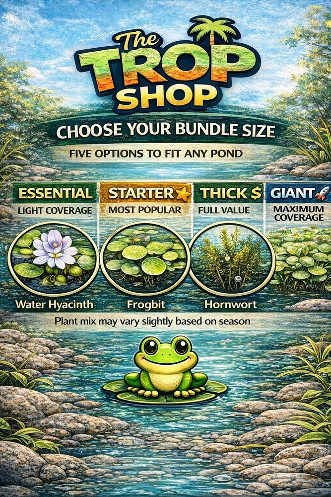 Floating Pond Plants Bundle Live Aquarium Plants Fish Safe Easy Beginner Pack