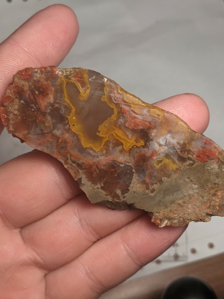 Awesome Orange Red Kentucky Agate Slab Slice