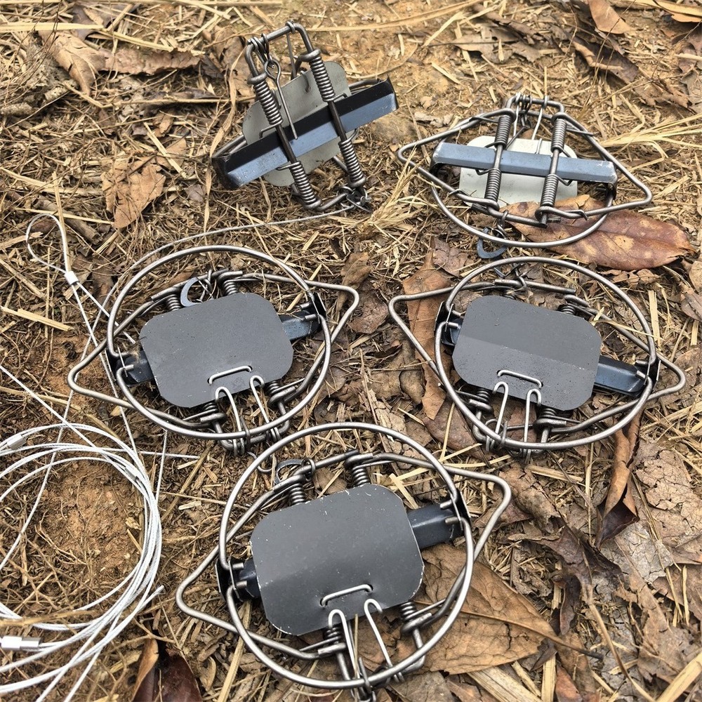 5Pc & 4-3/10 In Strong Power 4 Coil Spring Trap Nutria Rabbit Fox Gopher Mole