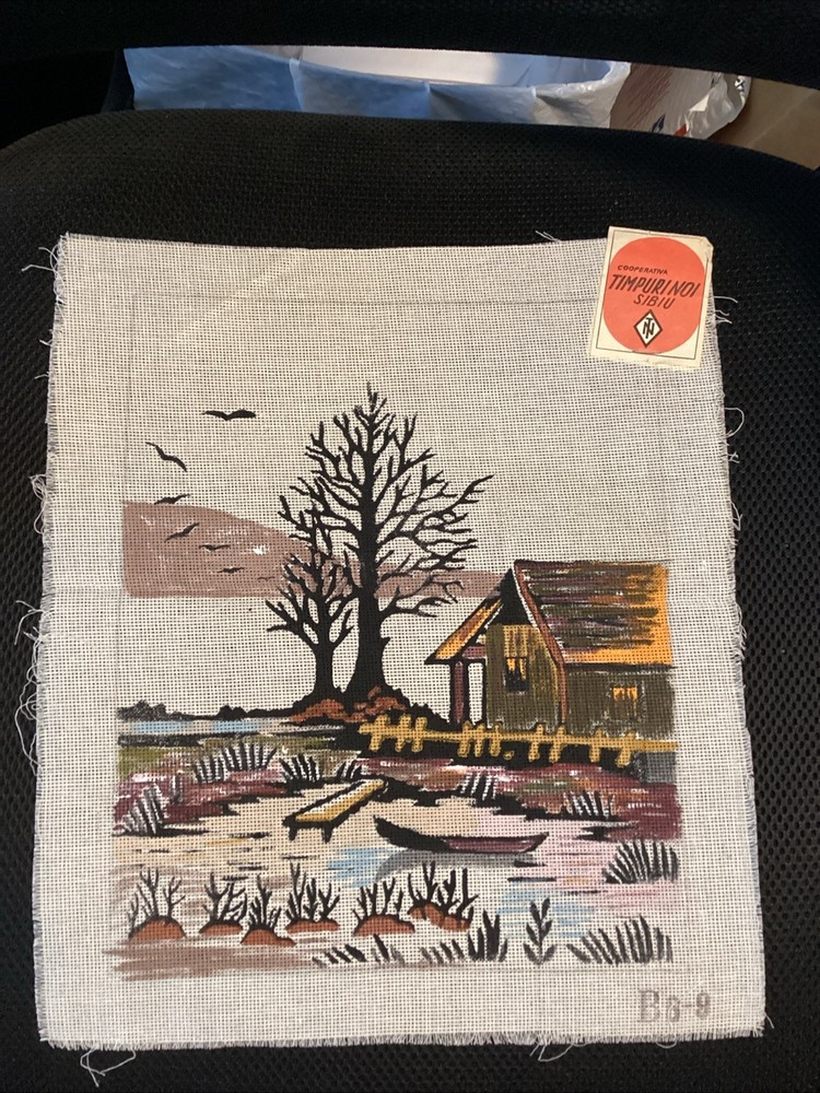 Vintage Hand Painted Needlepoint