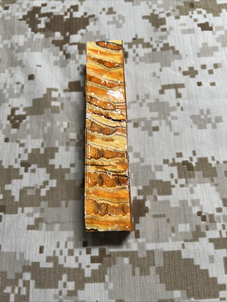 Pen Turning Blank fossil mastodon tooth