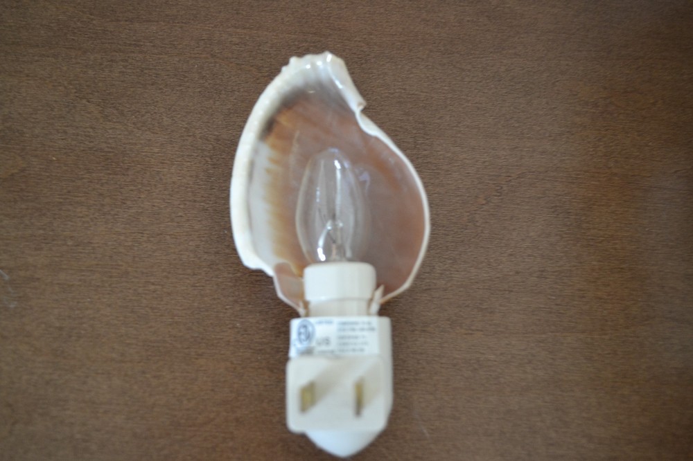 CONCH SEA SHELL NAUTICAL HOME DECOR KITCHEN BEDROOM NIGHTLIGHT