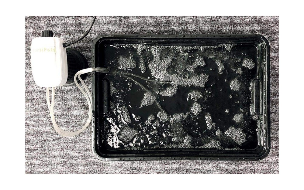 DWC Cloner Rooting Recirculating System 24 Site Cutting Clone and Seeding Roo...