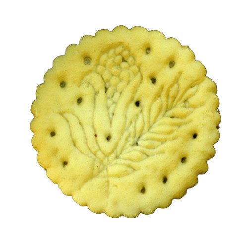 Display Faux Food Prop Large Cracker New