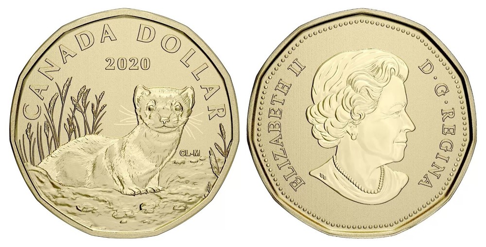 Canada 2020 - Black-Footed Ferret - Specimen Loonie!!