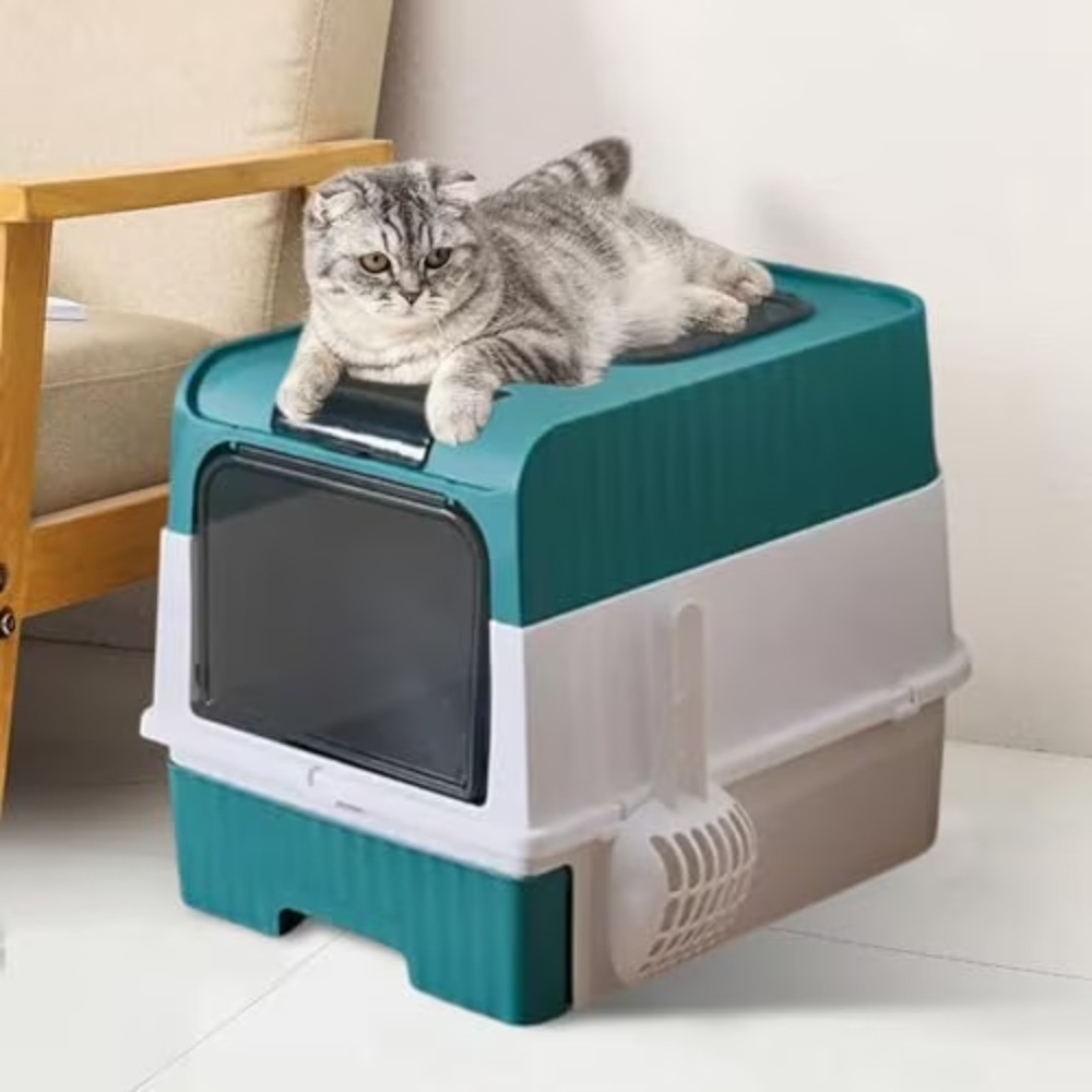 Litter Boxs for Big Cats, Front Entry Top Exit Kitty Box Odor Control (Blue)