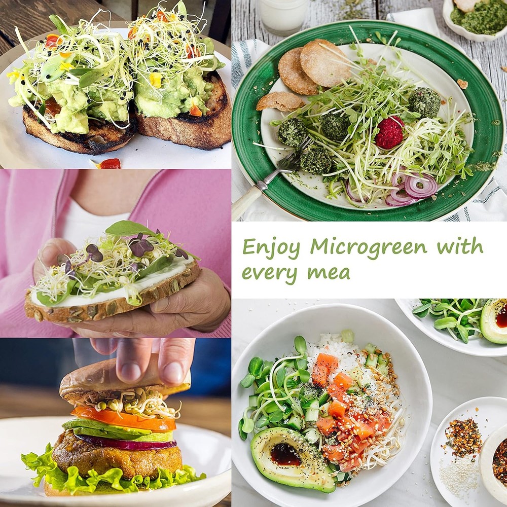 4 Pcs Microgreen Growing Tray & Sprouting Tray, Reusable BPA Free Seed Sprouting