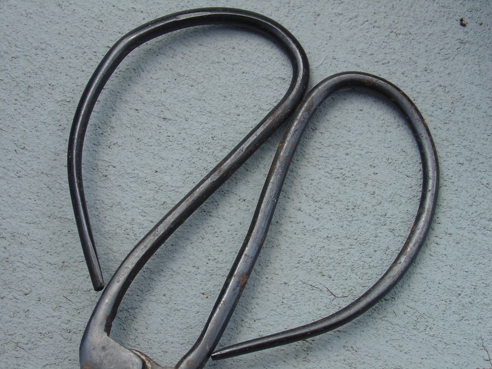 Vintage Signed Iron Japanese Bonsai Tree Bush Scissors Tool