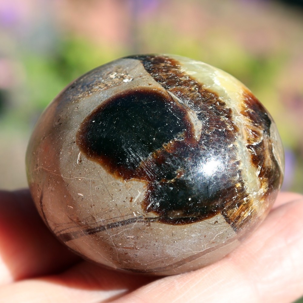 Polished Septarian Nodule (SEP21)