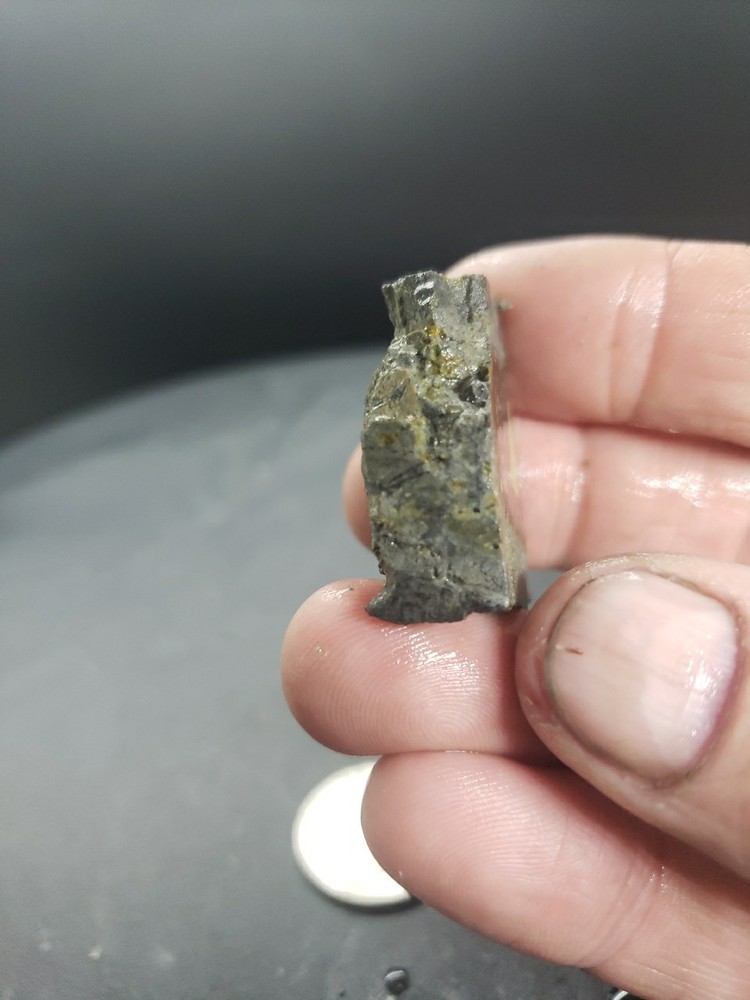 Nevada Saguaro Variscite Slab