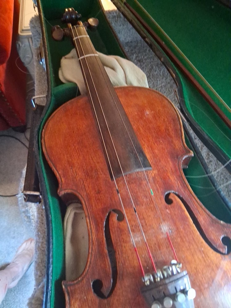 Violin