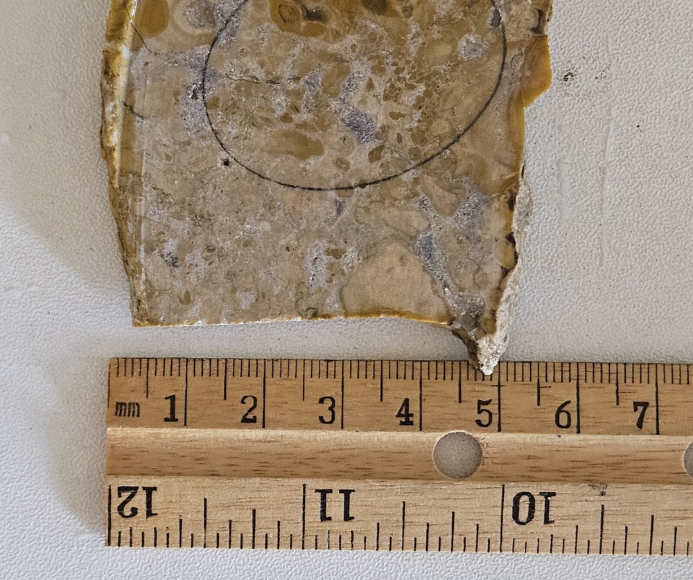 Yellow Jasper Lapidary Slab 49 grams