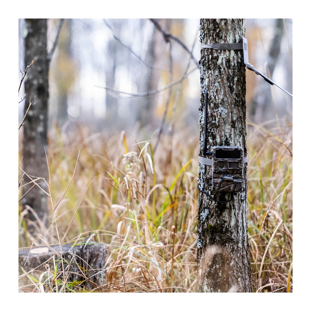 Yellowstone Y2 Trail Camera Bundle with Card Reader and Accessories (2-Pack)