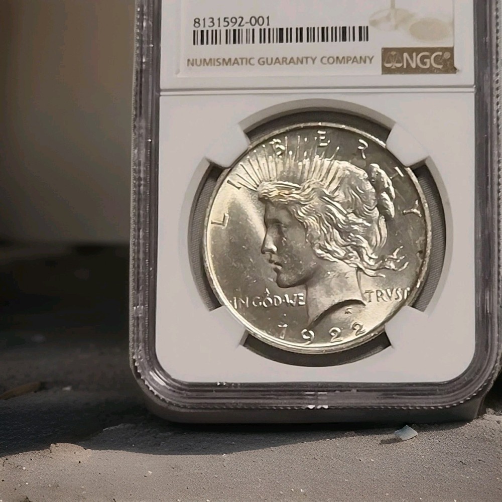 1922 Peace Silver Dollar☆NGC MS 63☆Blast White~Tone Spot on Reverse☆