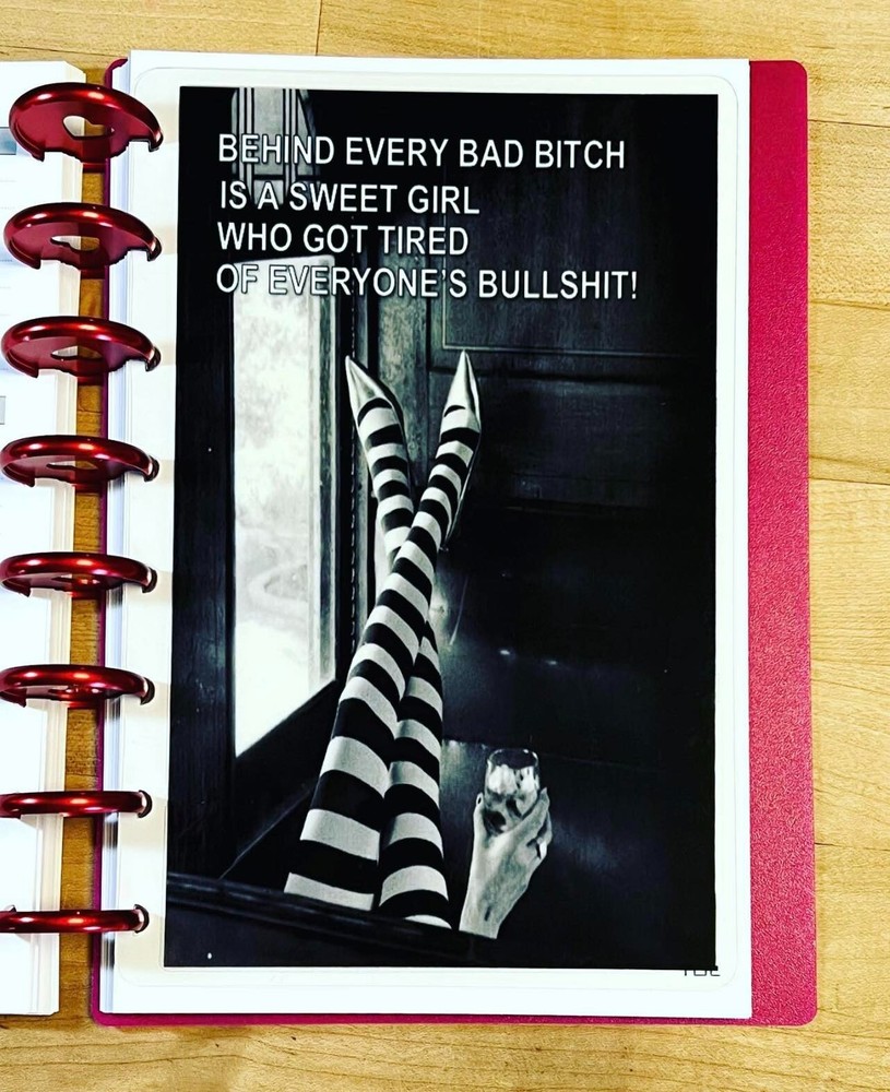 Behind Bad B**ch Mature Language Dashboard 4 use w/ TUL/Arc (8 disc) Planner~