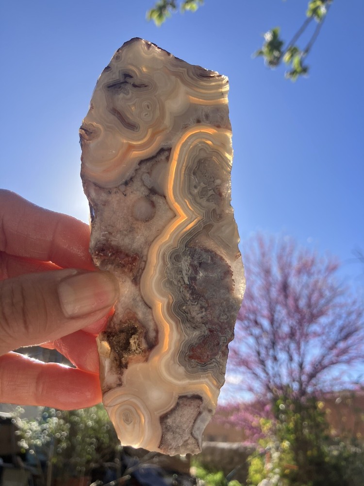 Crazy Lace Agate Slab (Mexico)