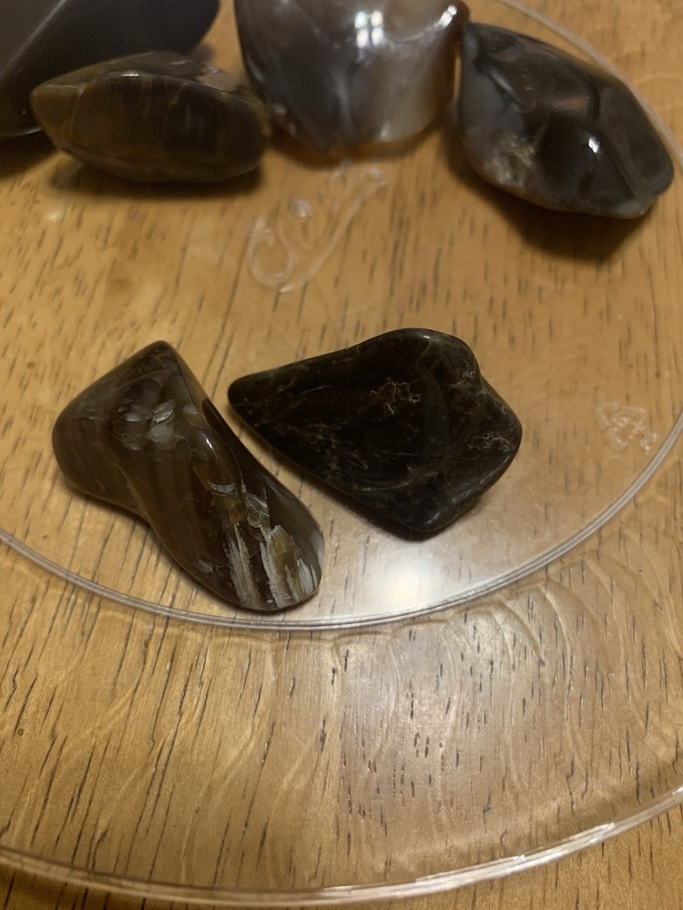 Black Petrified Wood Several Translucent 4.1 oz