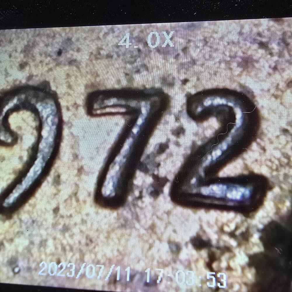 1972 Penny Possible Error!?