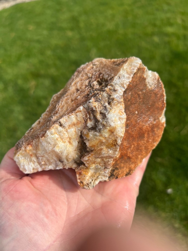 Succor Creek Botryoidal Agate Specimen 658gm (Y2)