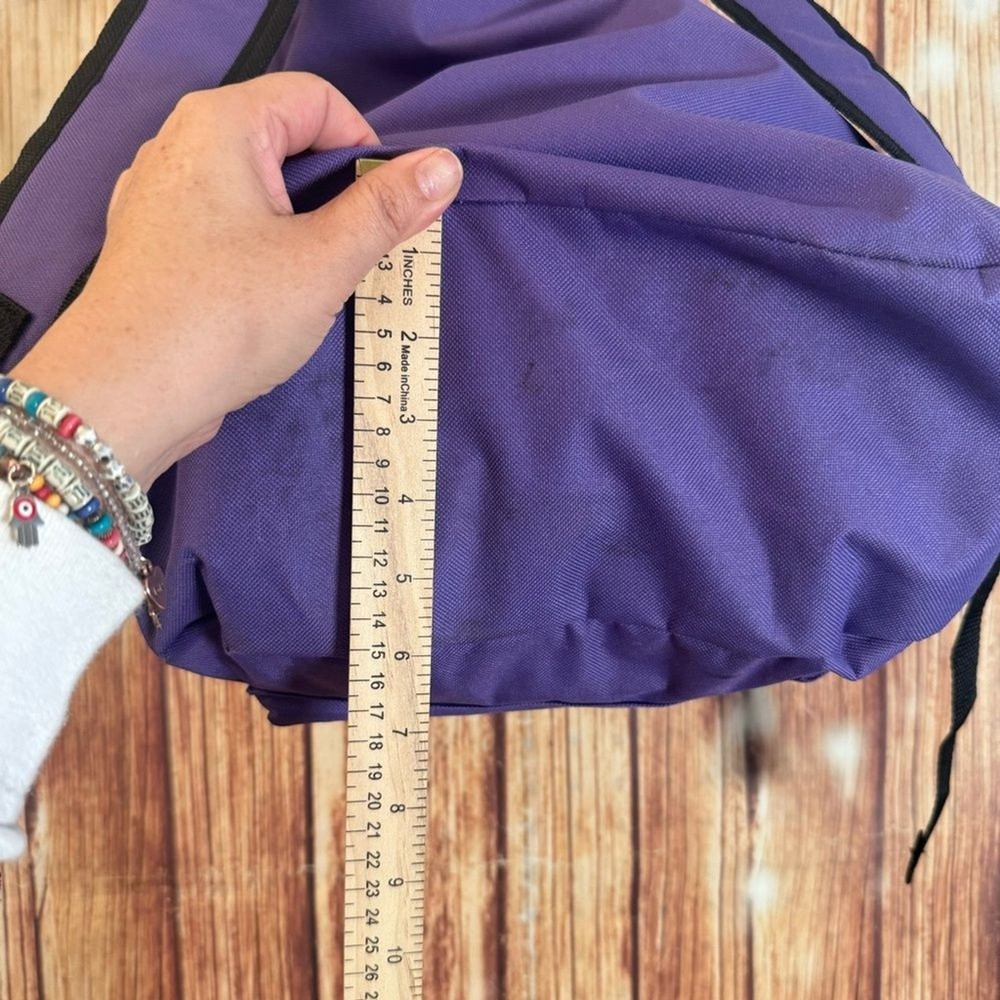 BigBox Nylon Purple Backpack 17 in