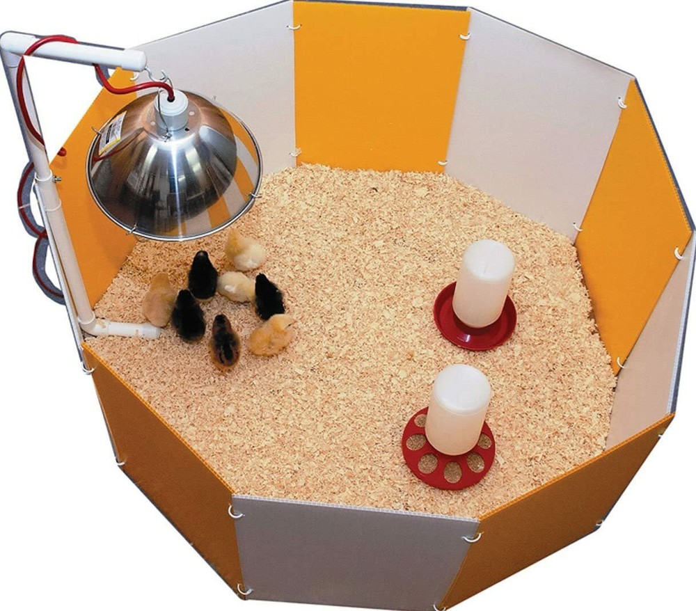 Farm Innovators Baby Chick Starter Home Brooder Pen with Adjustable Lamp Hanger