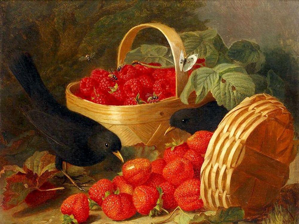 basket raspberries strawberries Accent Tile Mural Kitchen Backsplash Ceramic 8x6